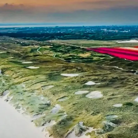 En Duinen 331 Holiday home