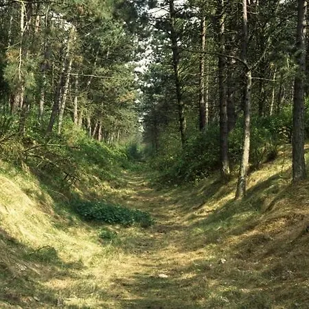 En Duinen 331 Omheinde Tuin Дом отдыха Юлианадорп