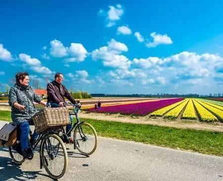En Duinen 331 Omheinde Tuin Дом отдыха Юлианадорп