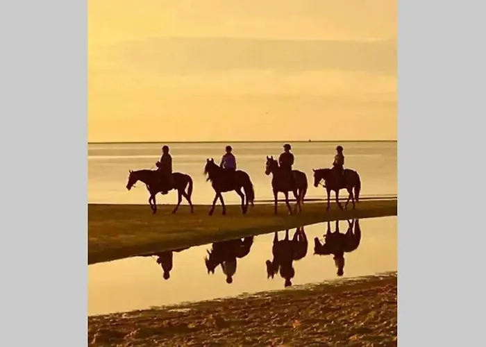 En Duinen 331 Feriehus *