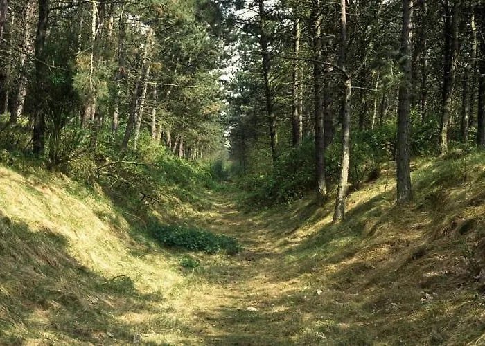 En Duinen 331 Omheinde Tuin 펜션 줄리아나도르프