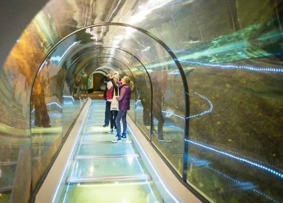 Feriehus En Duinen 331