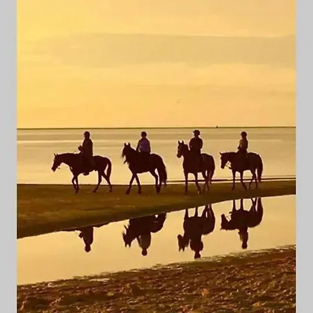 En Duinen 331 Дом отдыха *