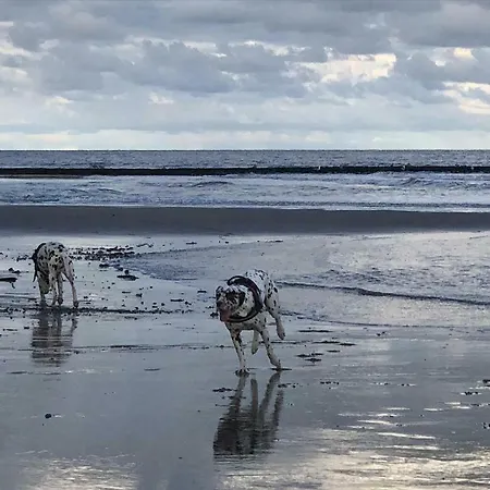 En Duinen 331 Юлианадорп