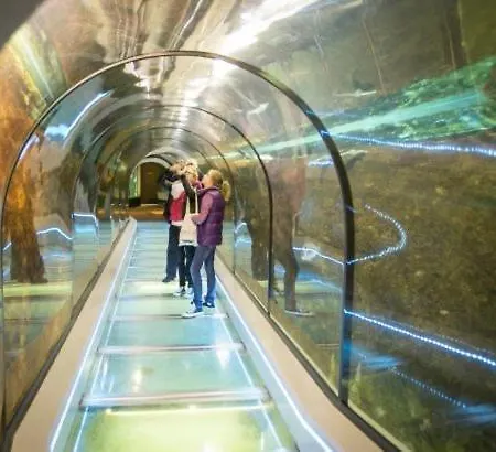 Дом отдыха En Duinen 331