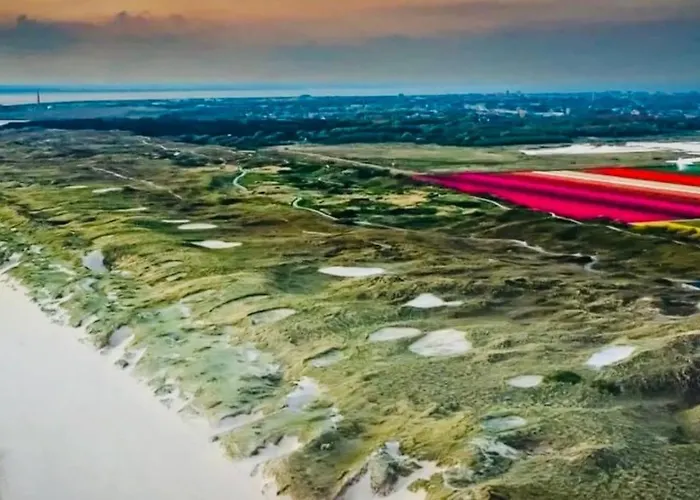 En Duinen 331 Omheinde Tuin Dom wakacyjny