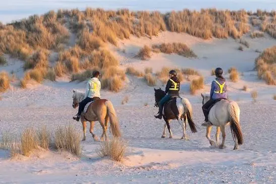En Duinen 331 Omheinde Tuin Dom wakacyjny Julianadorp