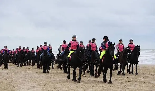Dom wakacyjny En Duinen 331 Omheinde Tuin