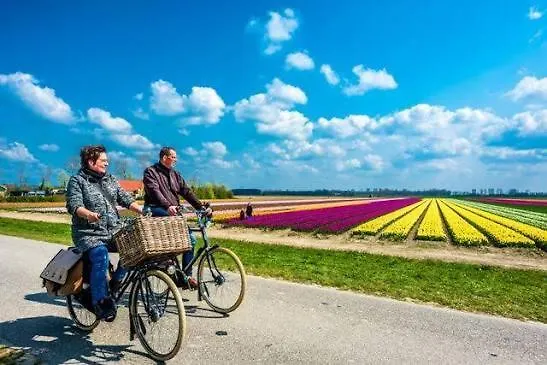 En Duinen 331 Omheinde Tuin Dom wakacyjny Julianadorp